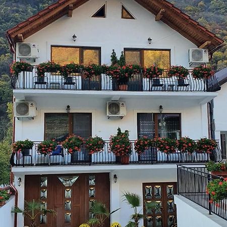 Апартаменты Casa Mimi Бэиле-Еркулане Экстерьер фото